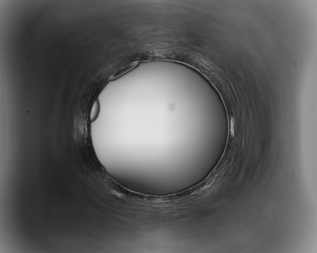 X0000089421155200706150958