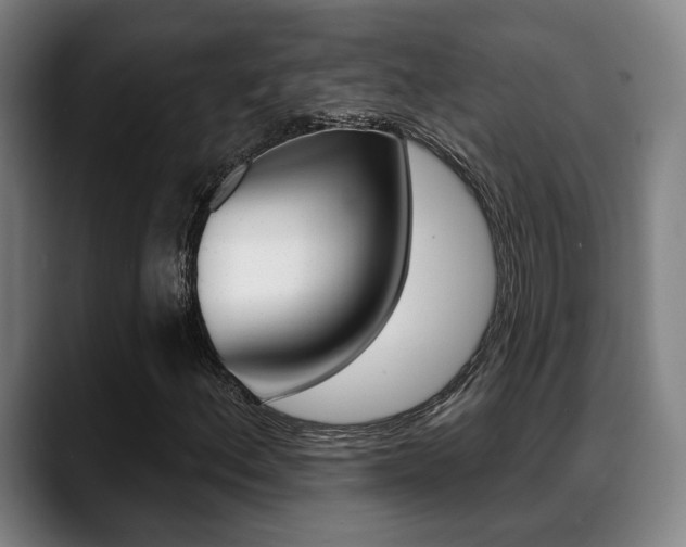 X0000089421156200706150958