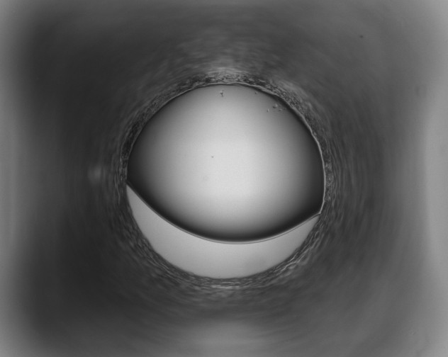 X0000089421157200706150958