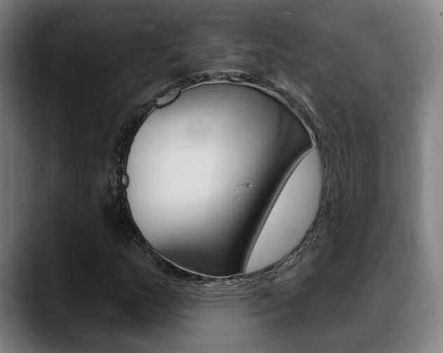 X0000089421159200706150958