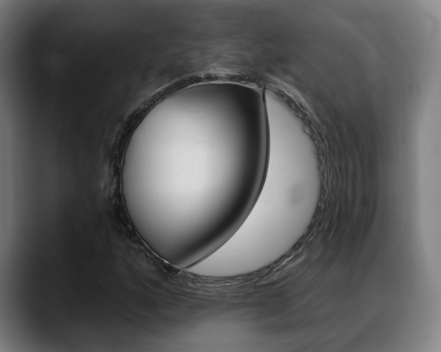 X0000089421160200706150958