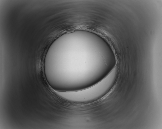 X0000089421161200706150958