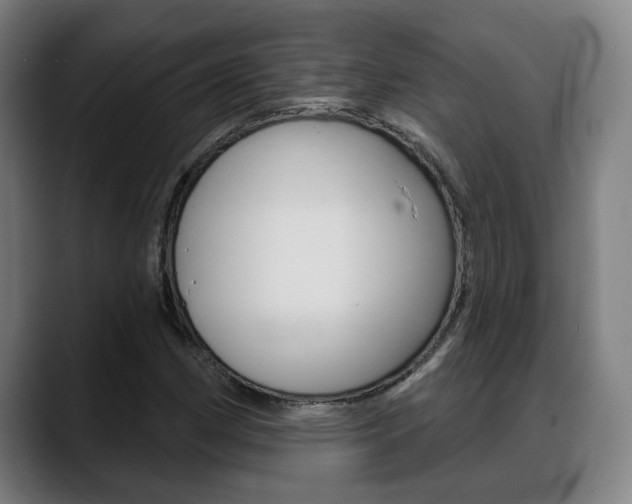 X0000089421162200706150958