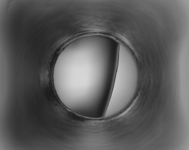 X0000089421163200706150958