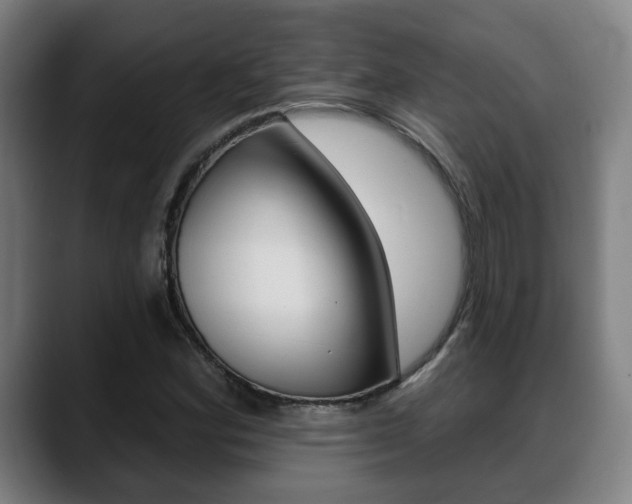 X0000089421164200706150958
