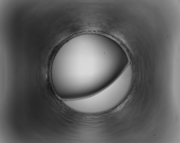 X0000089421165200706150958