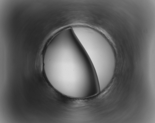 X0000089421175200706150958