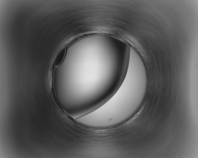 X0000089421180200706150958