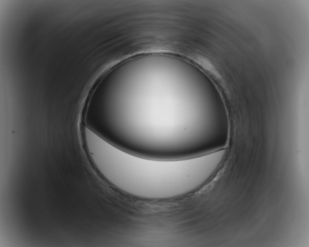 X0000089421181200706150958