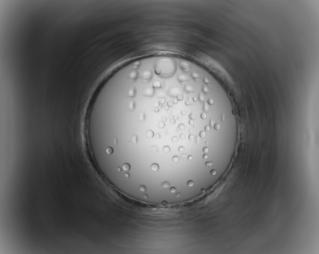 X0000089421182200706150958