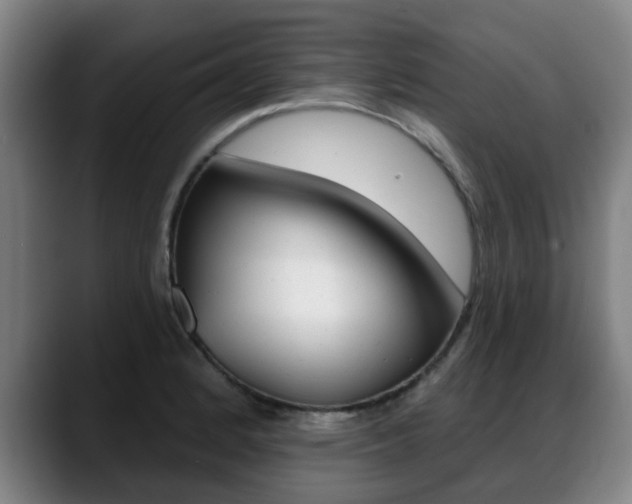 X0000089421184200706150958