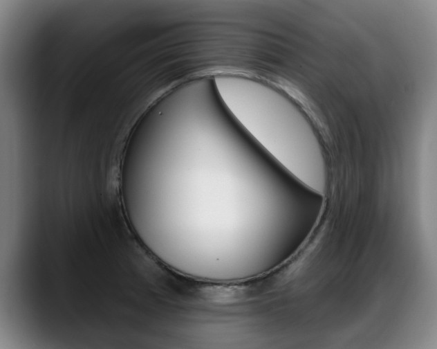 X0000089421185200706150958
