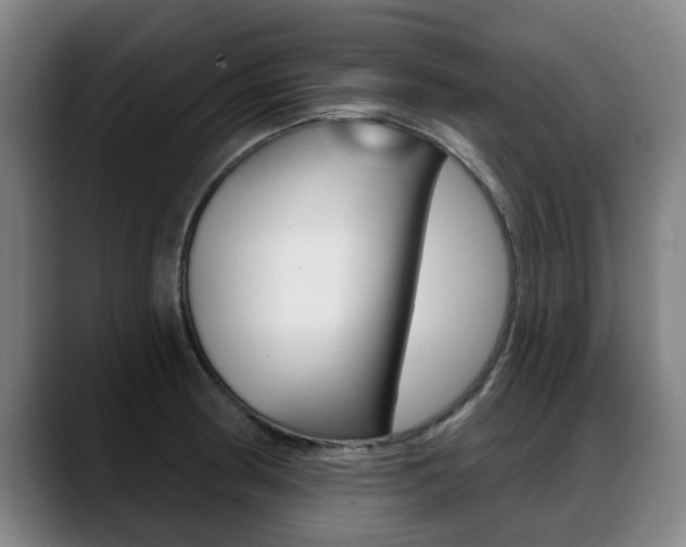 X0000089421186200706150958