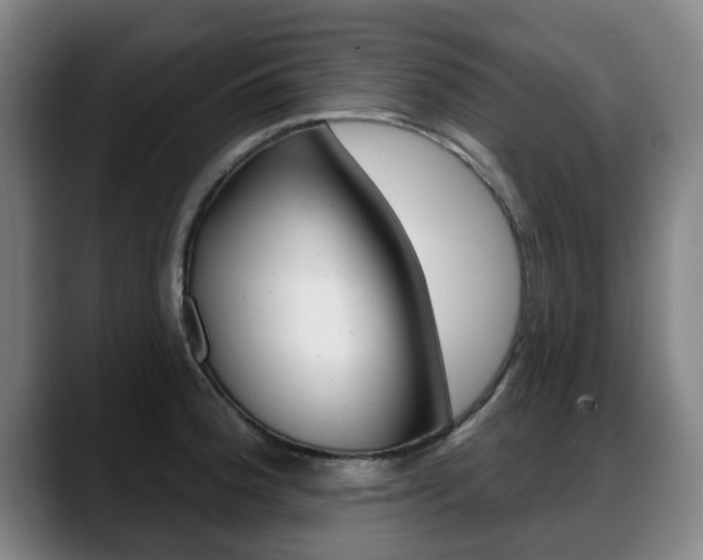X0000089421188200706150958