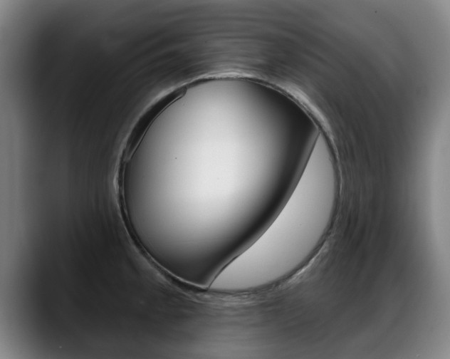 X0000089421189200706150958