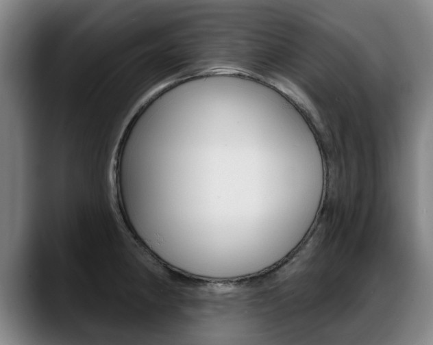 X0000089421190200706150958