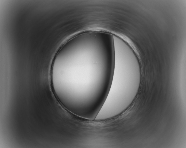 X0000089421191200706150958
