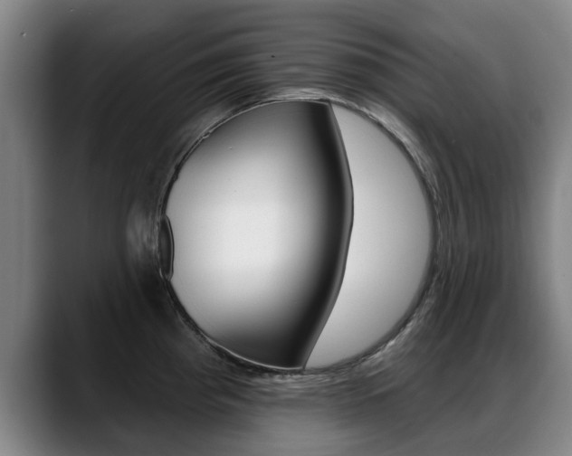 X0000089421193200706150958