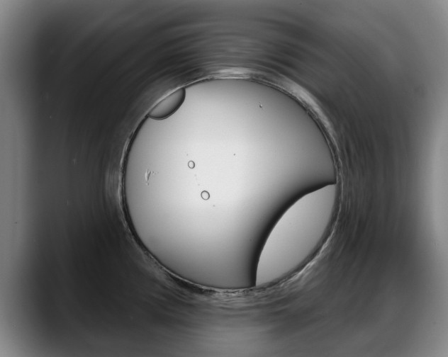 X0000089421194200706150958