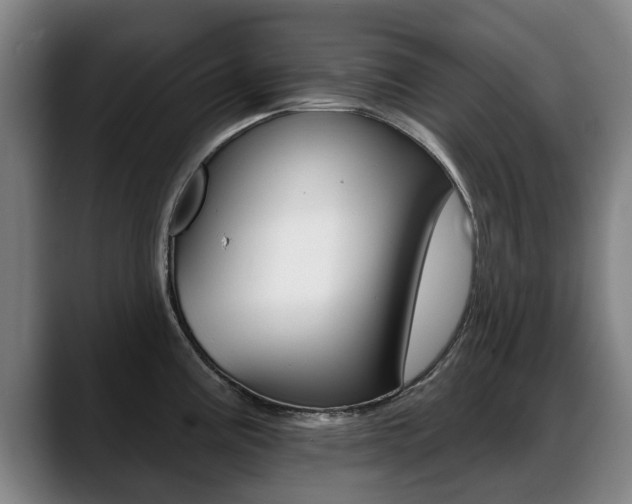 X0000089421195200706150958