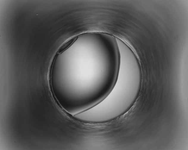 X0000089421197200706150958