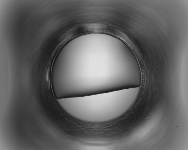 X0000089421198200706150958