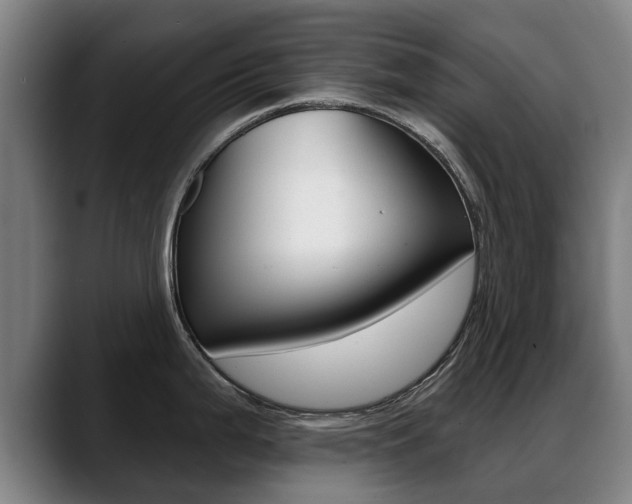 X0000089421199200706150958