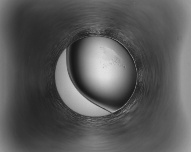 X0000089421202200706150957