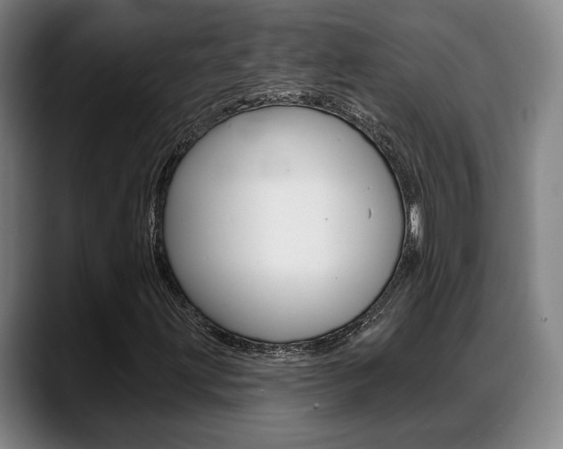 X0000089421203200706150957