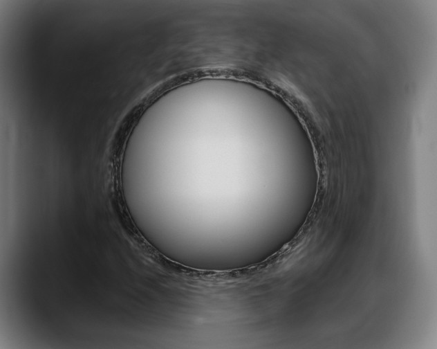 X0000089421208200706150957
