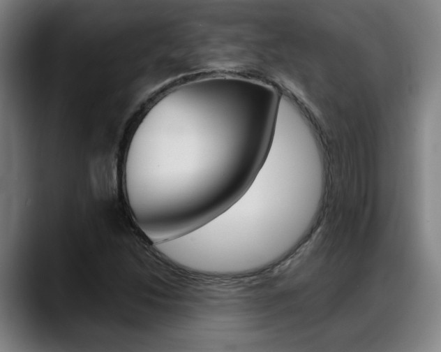 X0000089421214200706150957