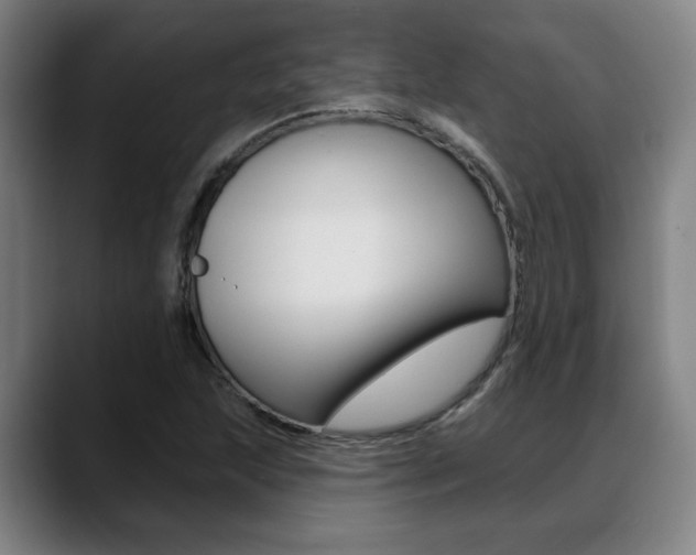X0000089421215200706150957