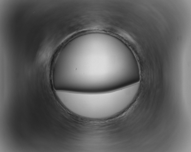 X0000089421216200706150957