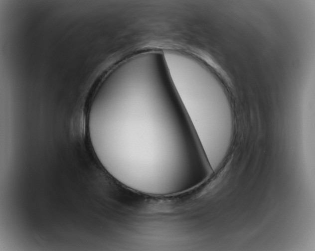 X0000089421221200706150957