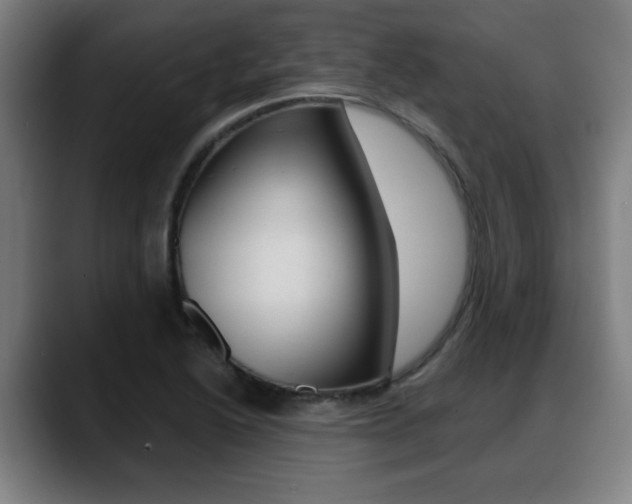 X0000089421222200706150957