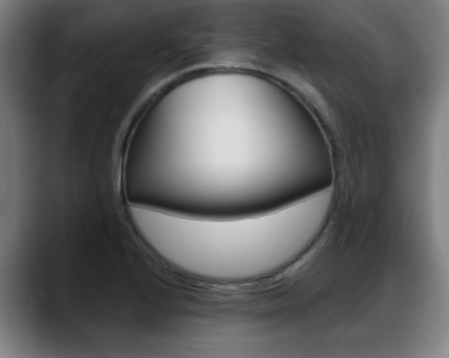 X0000089421224200706150957