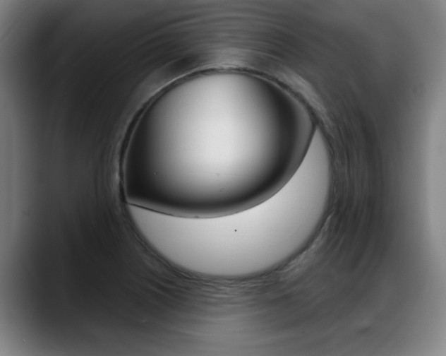 X0000089421226200706150957