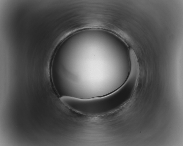 X0000089421230200706150957