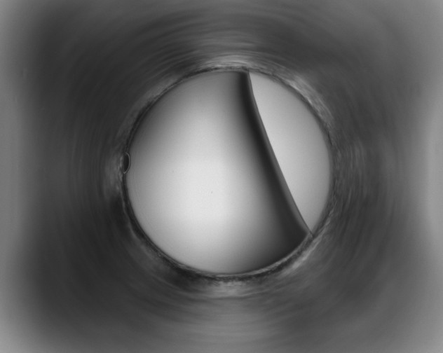X0000089421233200706150957