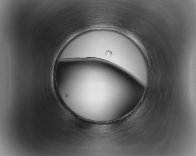 X0000089421237200706150957