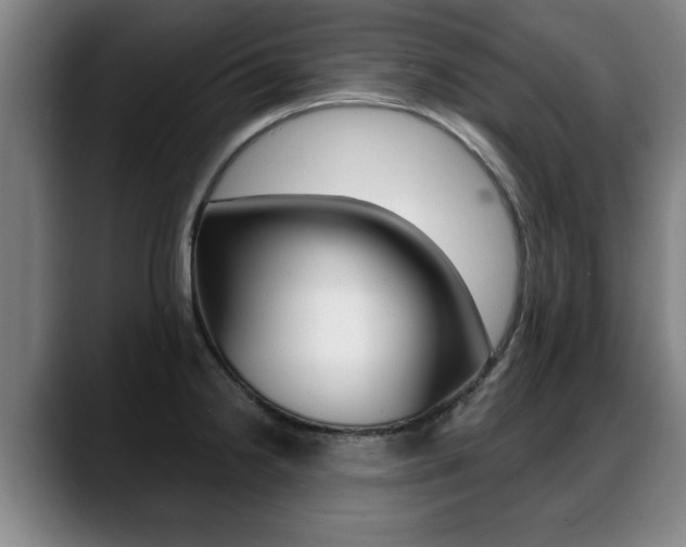 X0000089421238200706150957