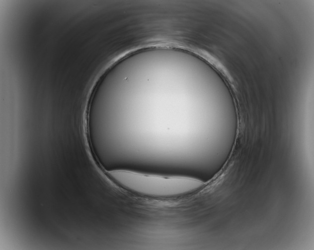 X0000089421239200706150957