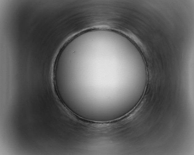 X0000089421240200706150957