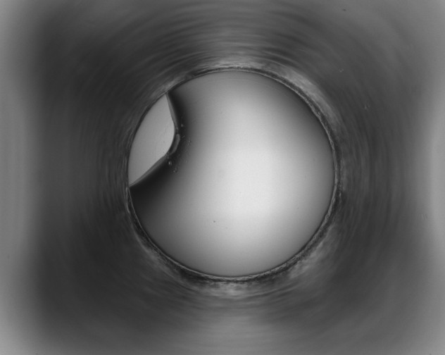 X0000089421241200706150957