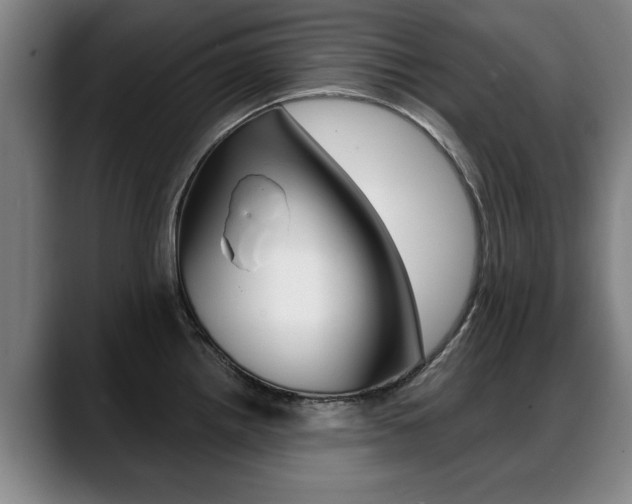 X0000089421242200706150957