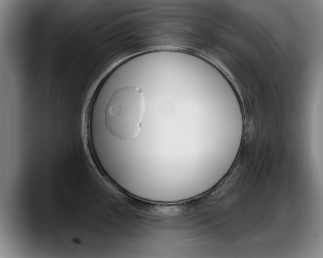 X0000089421243200706150957