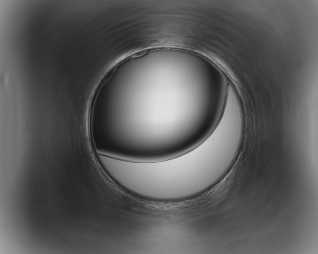 X0000089421246200706150958