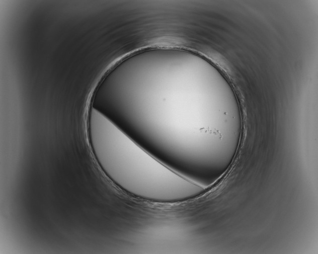 X0000089421248200706150958