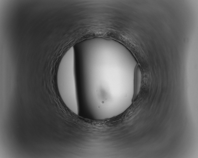 X0000089421249200706150957