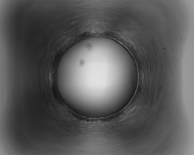 X0000089421250200706150957
